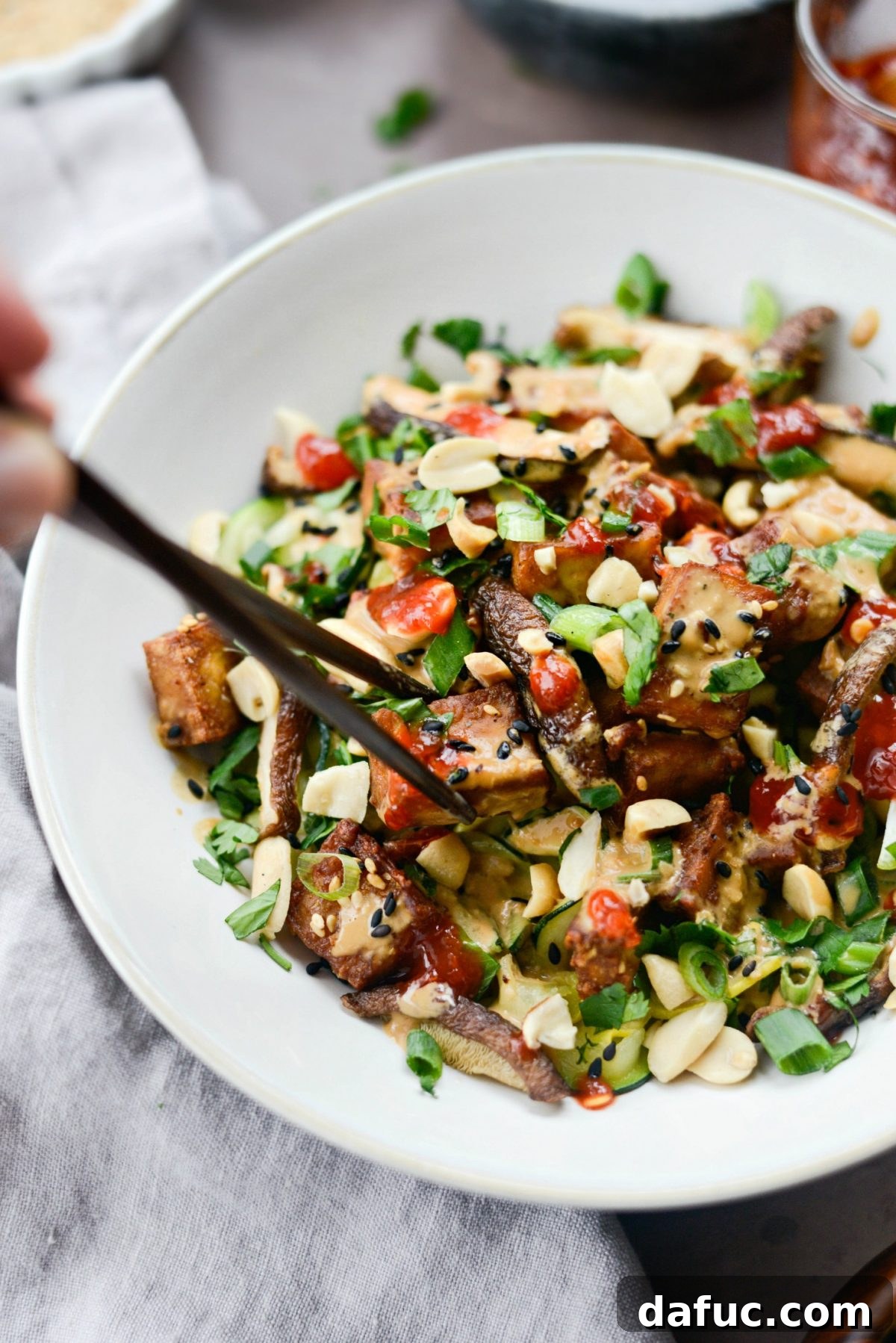 Perfectly Crispy Air Fryer Tofu with Creamy Peanut Sauce 14 Crispy Peanut Tofu with Squash Noodles (Air Fryer) close-up