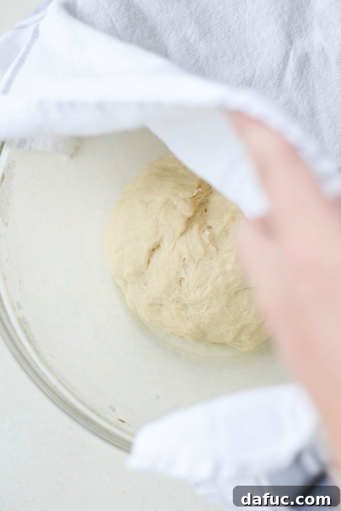 Elastic dough after kneading.
