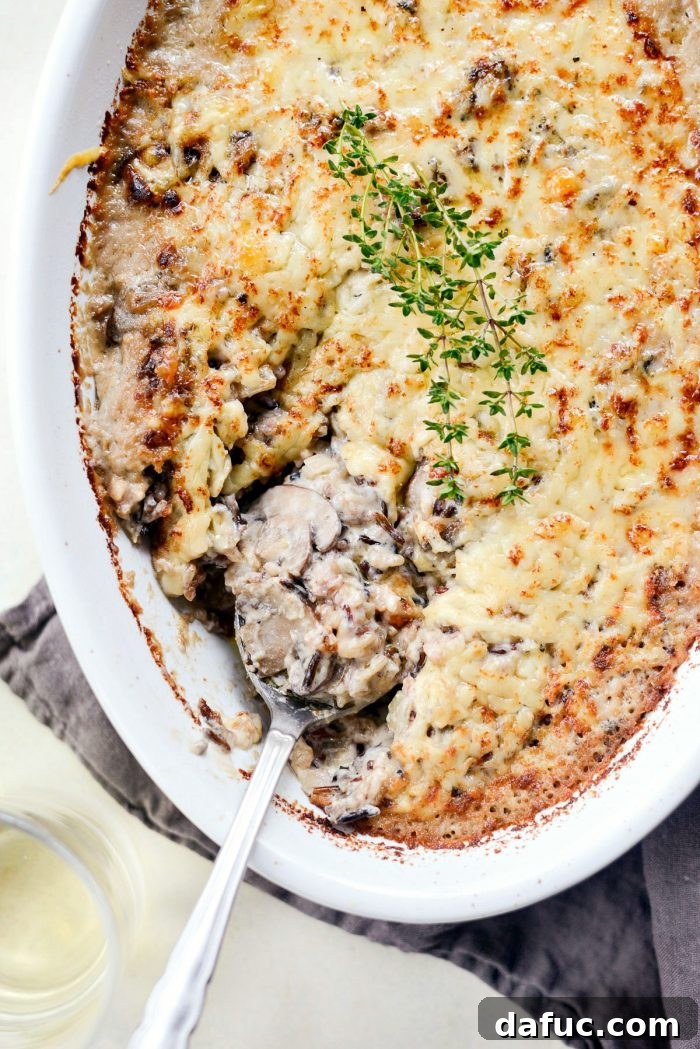 Hearty Mushroom Wild Rice Bake 17 Another enticing angle of the Mushroom Wild Rice Casserole, showcasing its rich texture and golden crust.