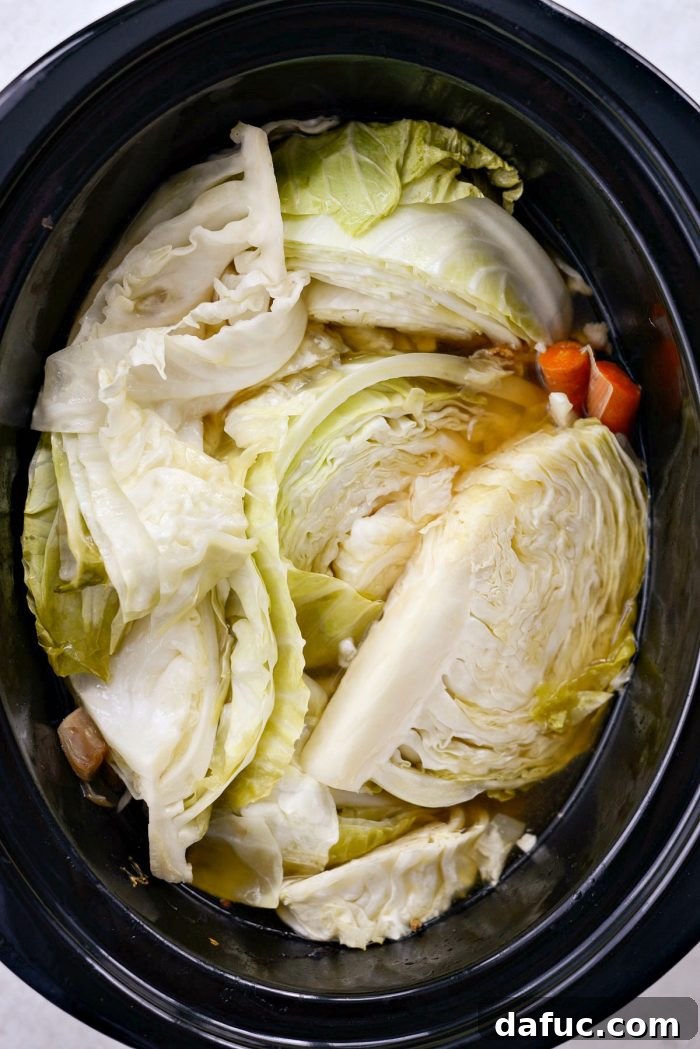 Effortless Slow Cooker Corned Beef and Cabbage 12 Cabbage wedges submerged in cooking liquid in the slow cooker