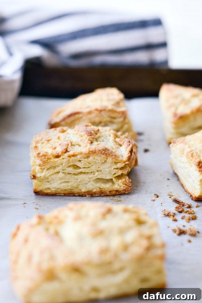 Cloud-Like Greek Yogurt Biscuits 16 Multiple Greek Yogurt Biscuits arranged artfully on a serving tray, perfect for a gathering.