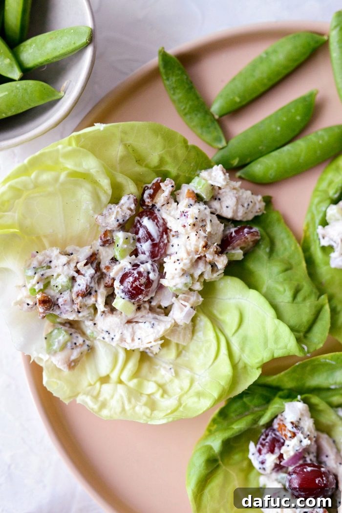Zesty Greek Yogurt Chicken Salad with Sweet Grapes and Toasted Pecans 2 Greek yogurt chicken salad in boston lettuce on a pink plate.