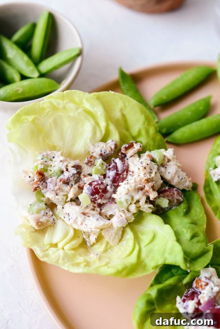 Zesty Greek Yogurt Chicken Salad with Sweet Grapes and Toasted Pecans 12 close up of Greek yogurt chicken salad in boston lettuce.