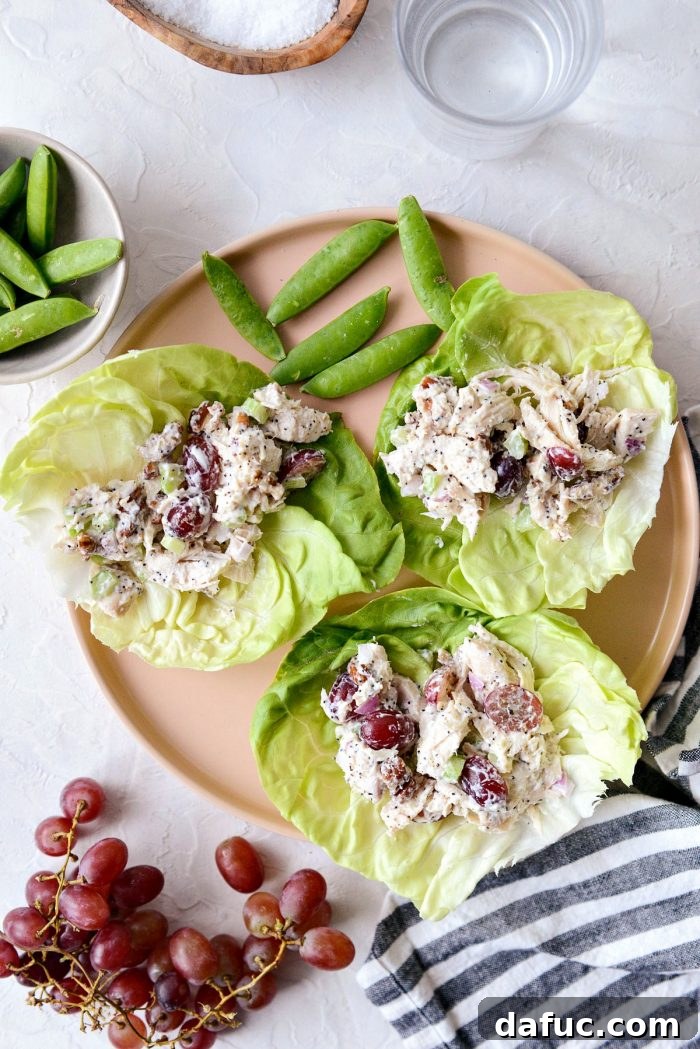 Zesty Greek Yogurt Chicken Salad with Sweet Grapes and Toasted Pecans 10 Pink plate with Greek yogurt chicken salad filled lettuce wraps.