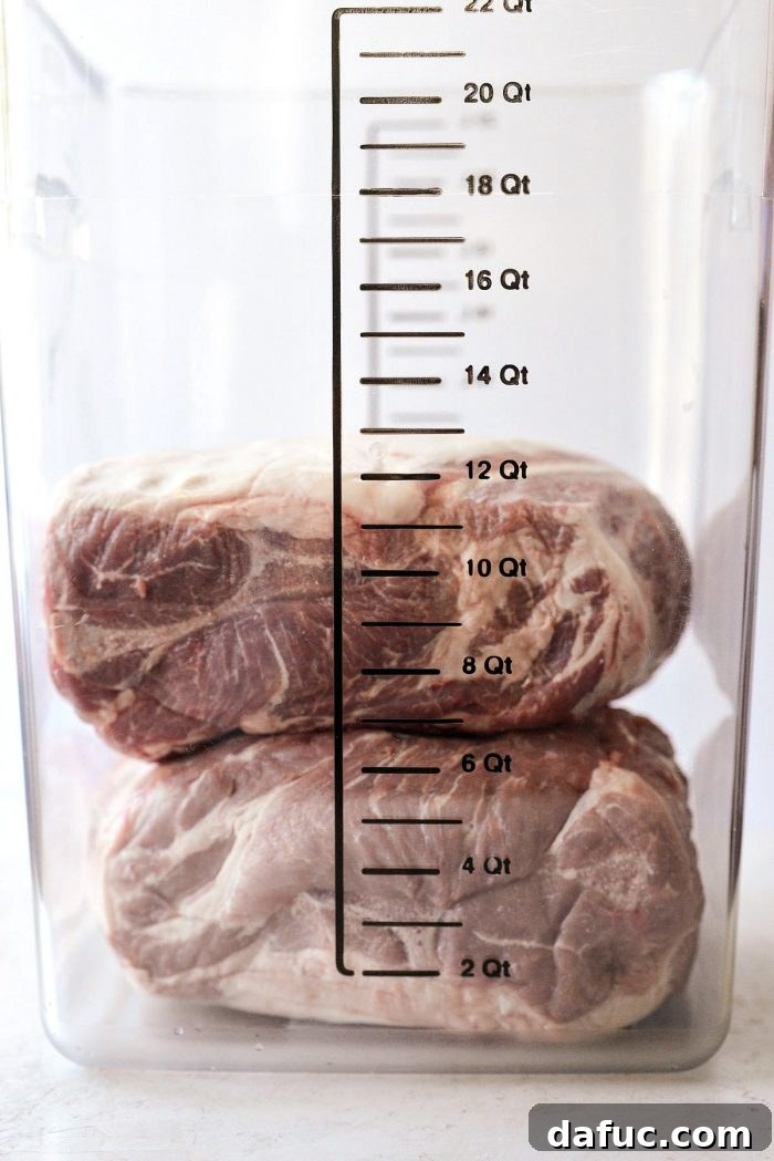 pork shoulder in brine bucket