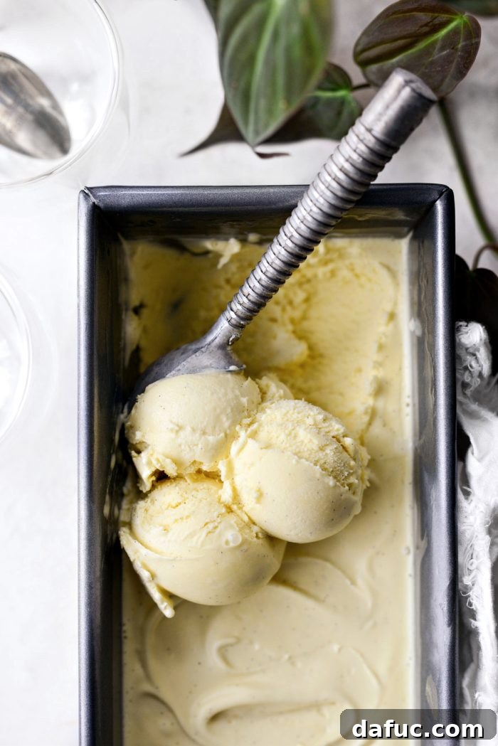 Velvet Vanilla Gelato 2 Homemade Vanilla Bean Gelato in metal container, perfectly churned and ready for serving.