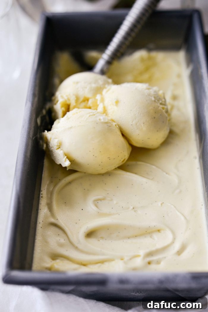 Velvet Vanilla Gelato 3 Two scoops of creamy vanilla bean gelato in a bowl.