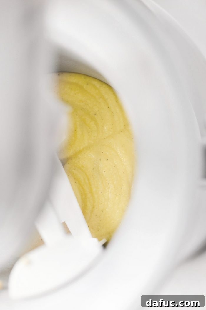 Velvet Vanilla Gelato 21 Pouring chilled vanilla bean gelato base into an ice cream maker, following manufacturer's directions.