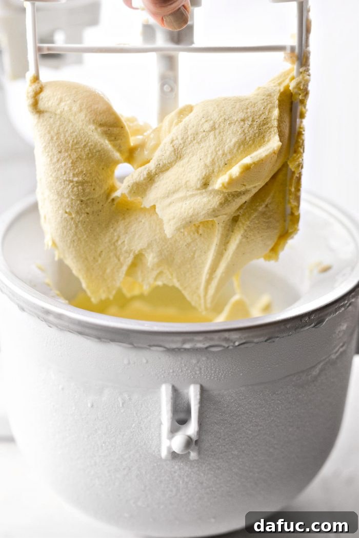 Velvet Vanilla Gelato 22 Thick and gorgeous vanilla bean gelato, freshly churned.