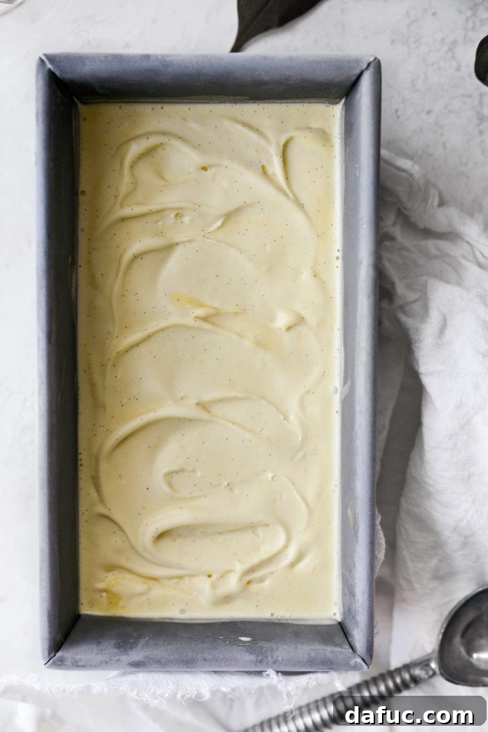 Velvet Vanilla Gelato 24 Frozen vanilla bean gelato, perfectly set in its container.