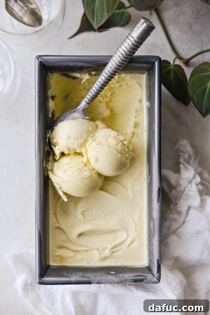 Velvet Vanilla Gelato 25 Homemade vanilla bean gelato, perfectly smooth and ready to be scooped.