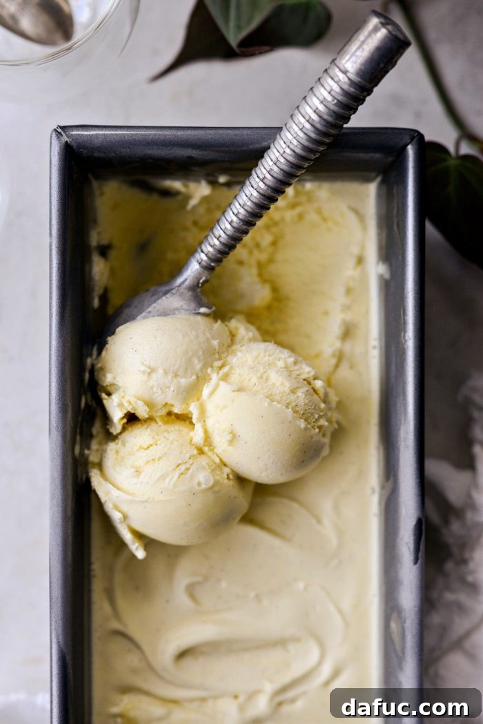 Velvet Vanilla Gelato 26 Scooping out the frozen vanilla bean gelato into a serving dish.