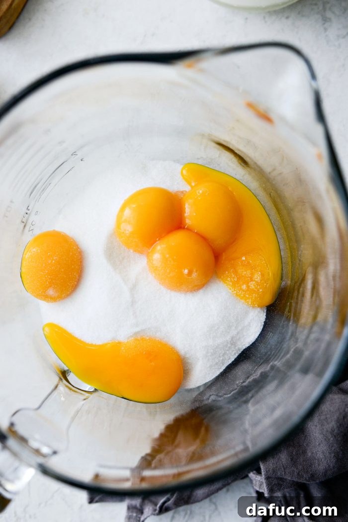 Velvet Vanilla Gelato 5 Egg yolks and granulated sugar in a large mixing bowl, ready to be whisked for vanilla bean gelato.