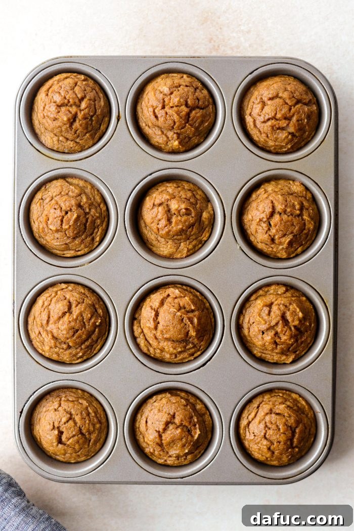 Freshly baked Mini Crustless Pumpkin Pies in a muffin tin