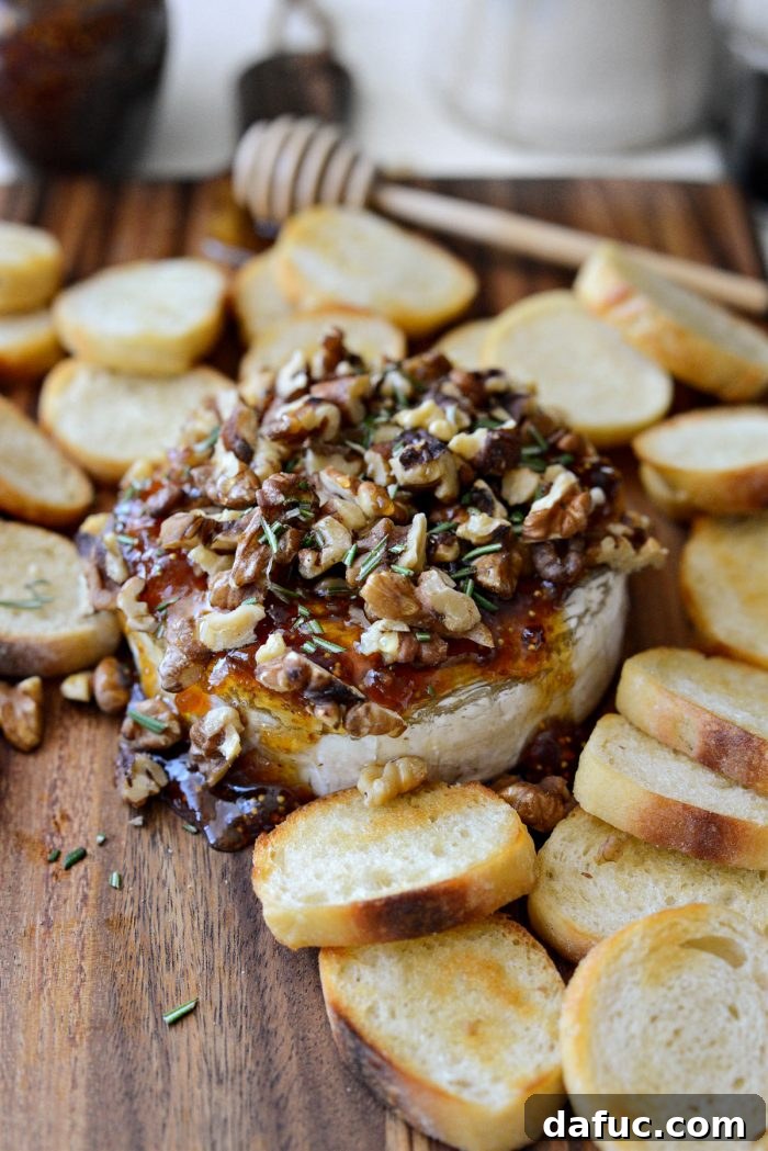 Fig jam, toasted walnuts, and fresh rosemary topping a warm honey baked brie.