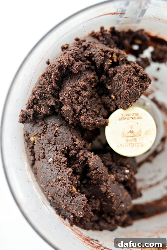 Pulsed ingredients forming cookie dough in a food processor