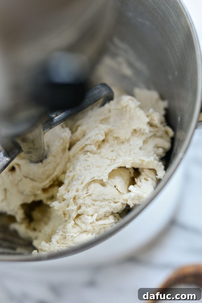 Bite-Sized Pita Pockets 10 Pita dough just combined in a stand mixer, ready for the dough hook