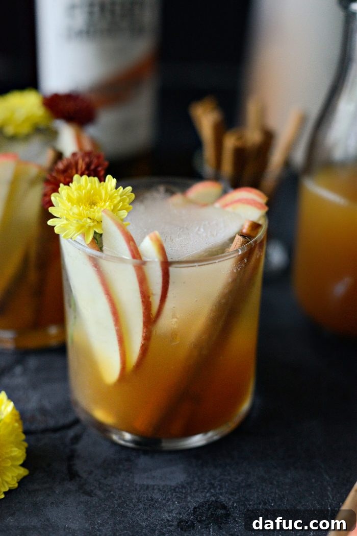 Autumn Ember Cider 3 Bonfire Cider garnished with apple and cinnamon