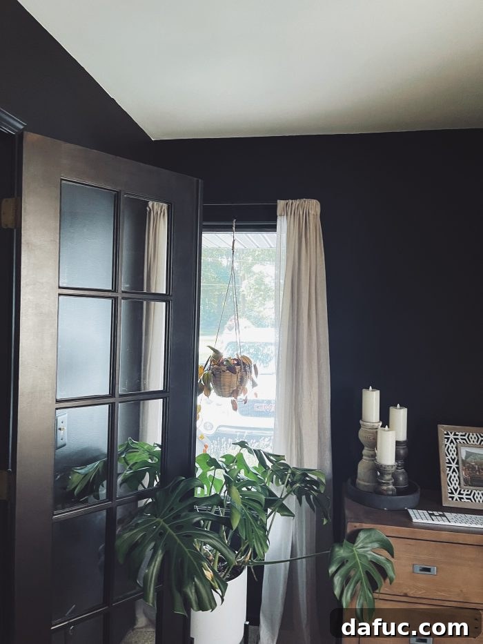 The Story of 2021 35 Elegant French doors painted in the office's new color scheme