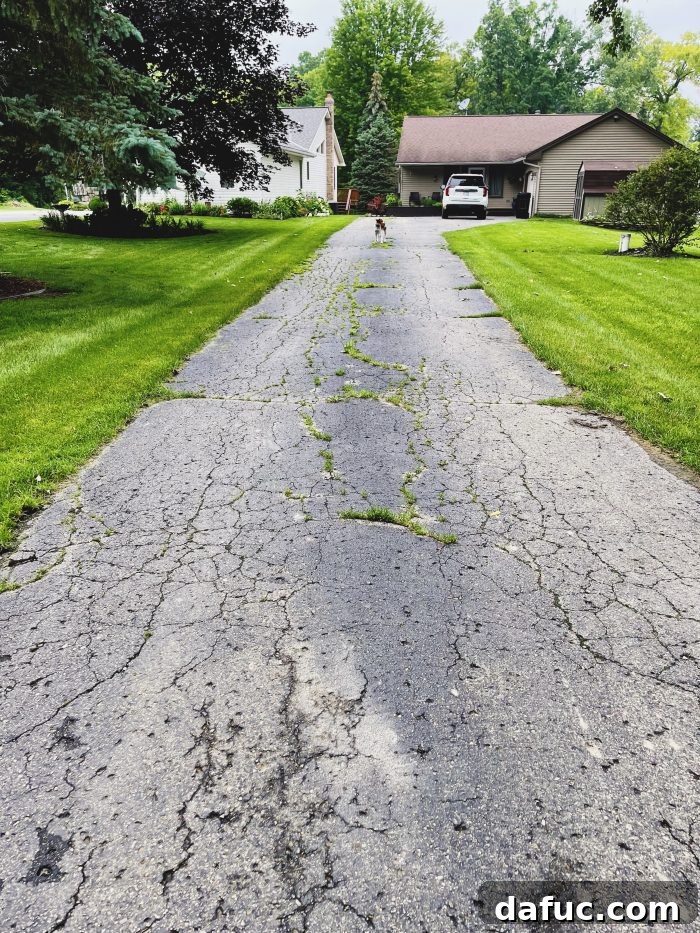 The Story of 2021 38 Before photo of an old, cracked driveway