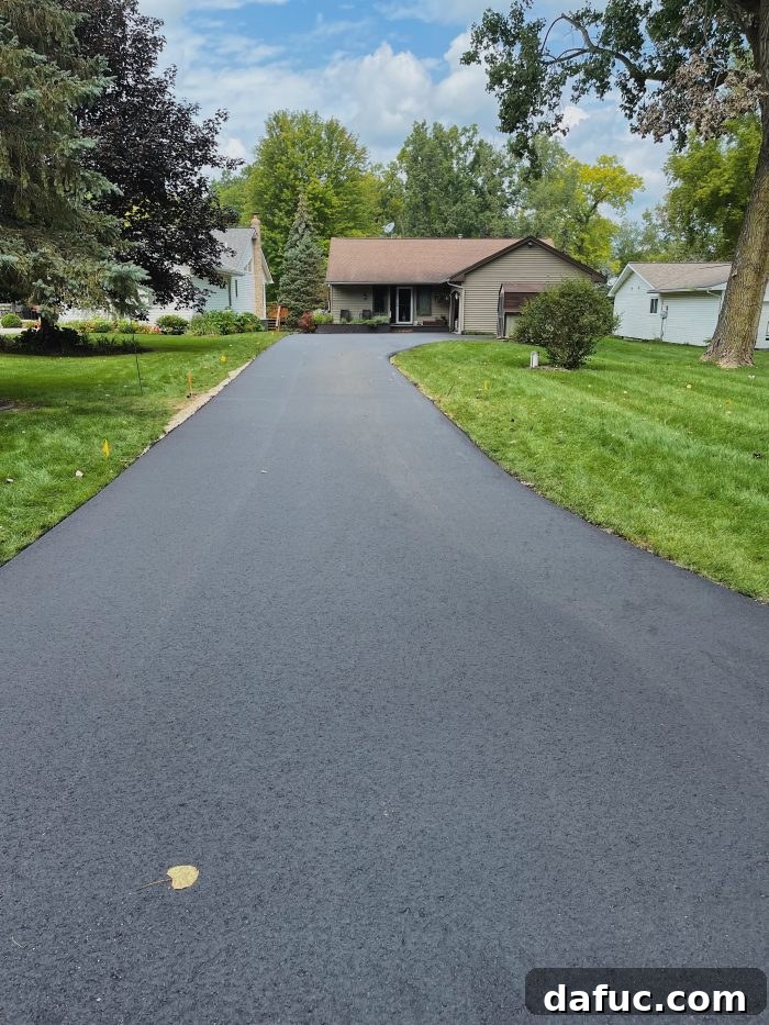 The Story of 2021 39 A freshly paved and widened new driveway leading to the shed