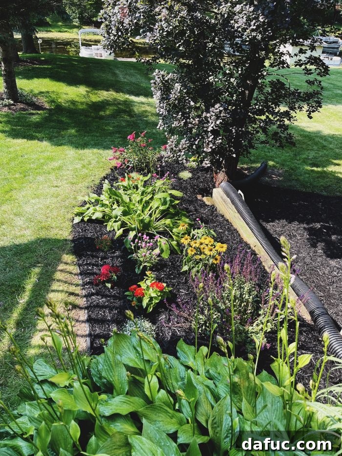 The Story of 2021 41 After photo of newly planted and mulched flower beds