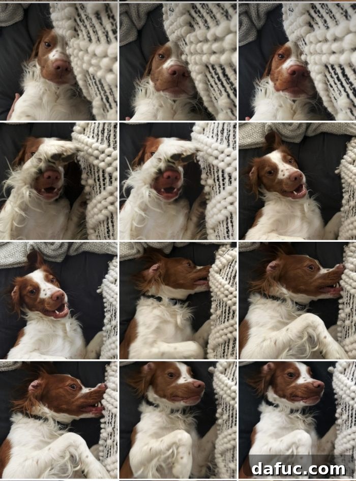 The Story of 2021 51 Finn making a silly, expressive face that brings laughter