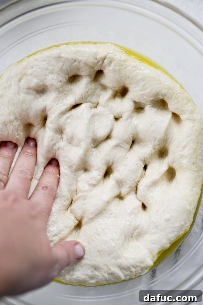 Punching down risen focaccia dough.