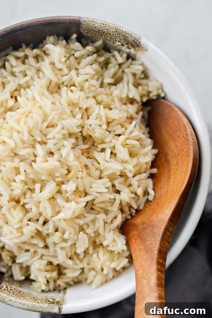Various dishes featuring protein-packed rice, showcasing its versatility