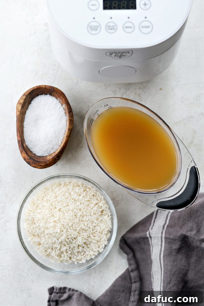 Ingredients for Protein Packed Rice: rice, bone broth, and salt