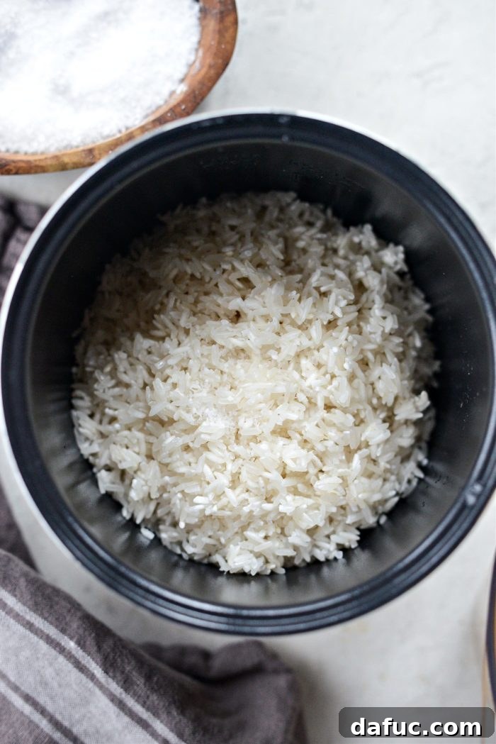 Rinsed rice placed in a rice cooker pot