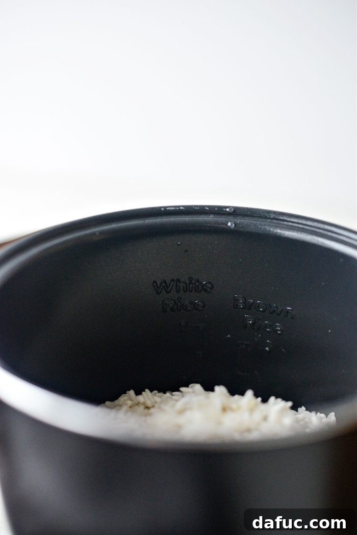 Rice cooker pot with rice and a fill line for liquid