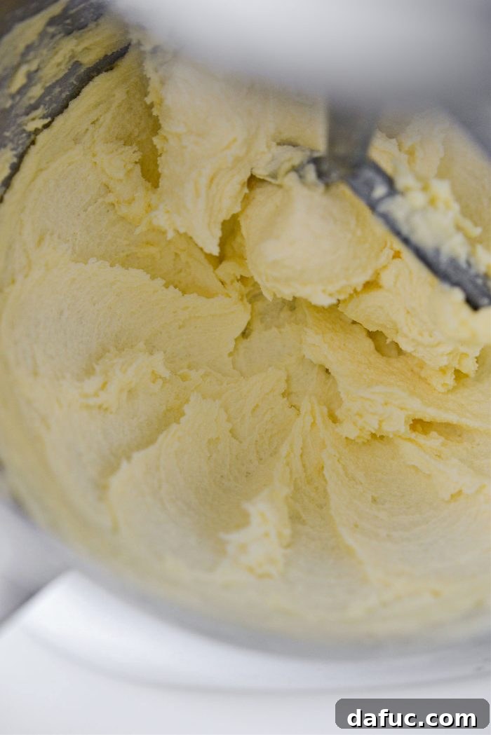 Spiced Pumpkin Molasses Chews 11 Creamed butter and sugar in a stand mixer, light and fluffy after mixing.