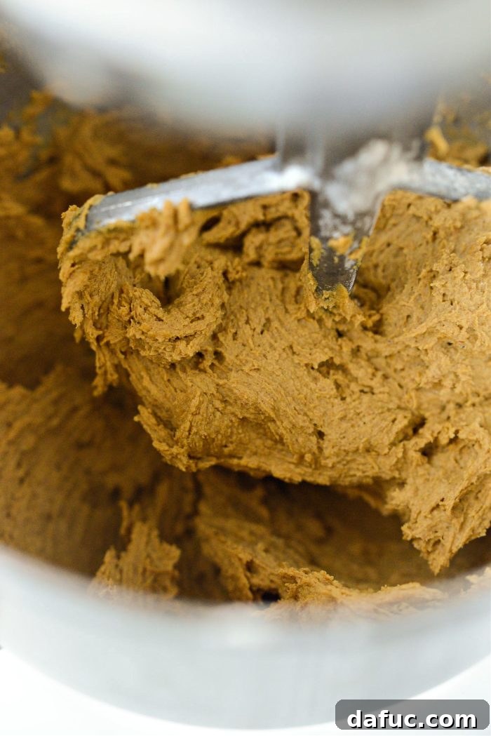 Spiced Pumpkin Molasses Chews 15 Finished cookie dough inside the mixing bowl, ready for scooping.