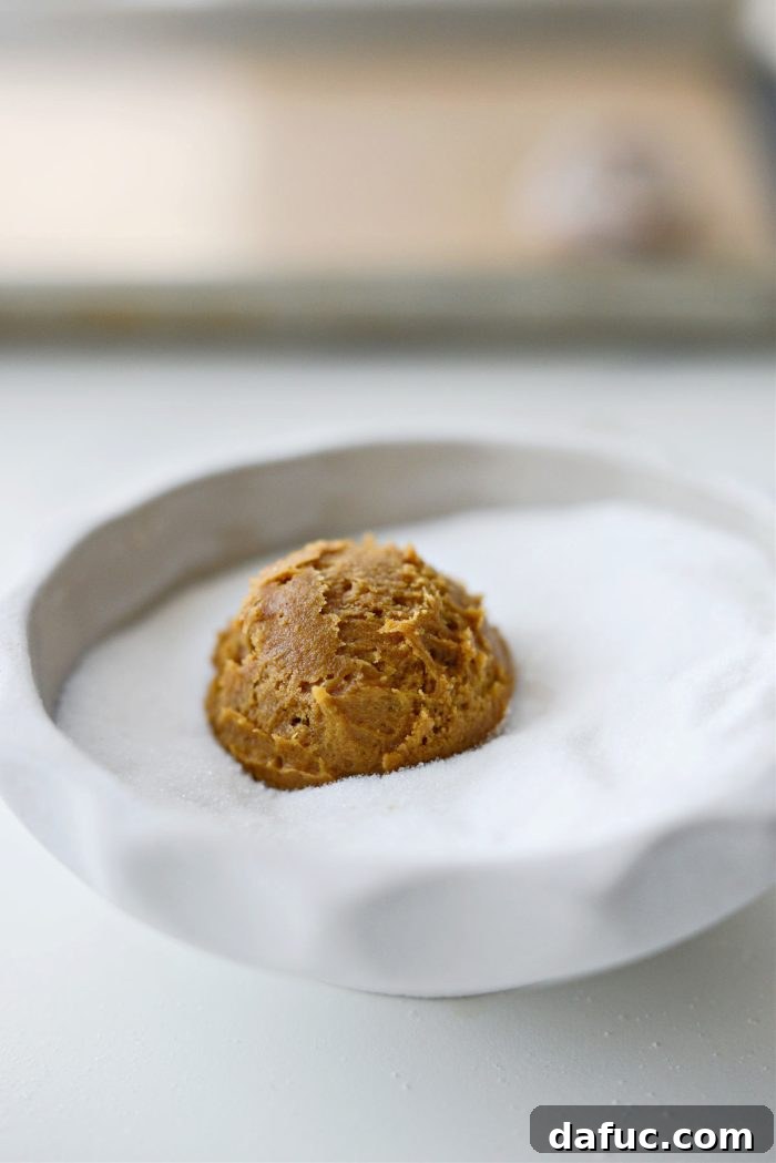 Spiced Pumpkin Molasses Chews 17 Cookie dough scooped into a bowl of granulated sugar, ready to be coated.