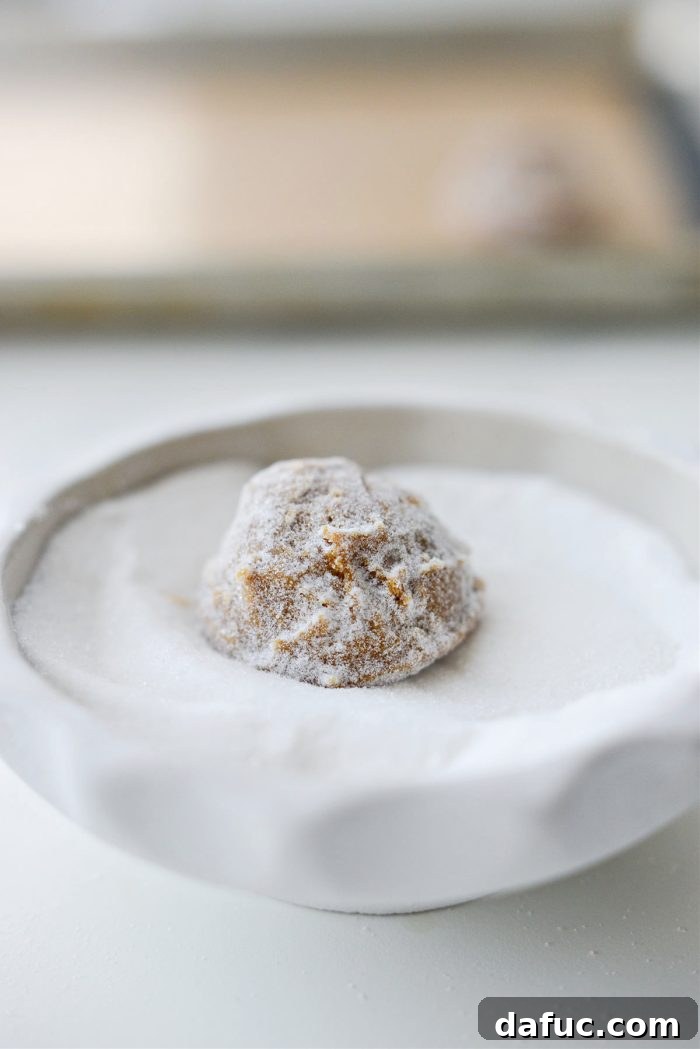 Spiced Pumpkin Molasses Chews 18 Cookie dough balls gently rolled and coated in granulated sugar.