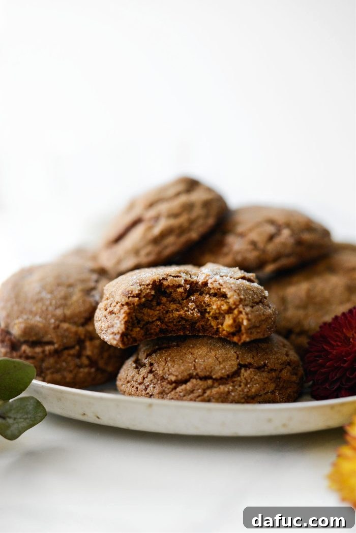 Spiced Pumpkin Molasses Chews 3 A Pumpkin Molasses Cookie with a bite taken out, revealing its soft, chewy interior and sugar coating.