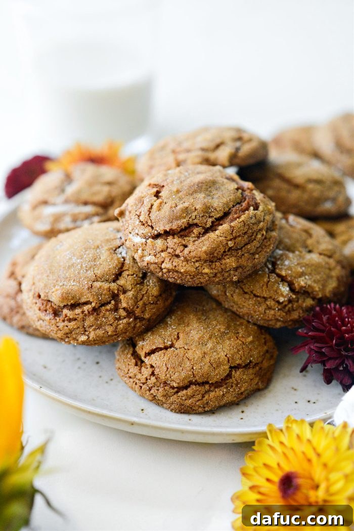 Spiced Pumpkin Molasses Chews 23 A perfect, round Pumpkin Molasses Cookie with a sugar-coated top.