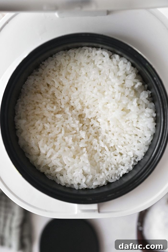 cooked sushi rice